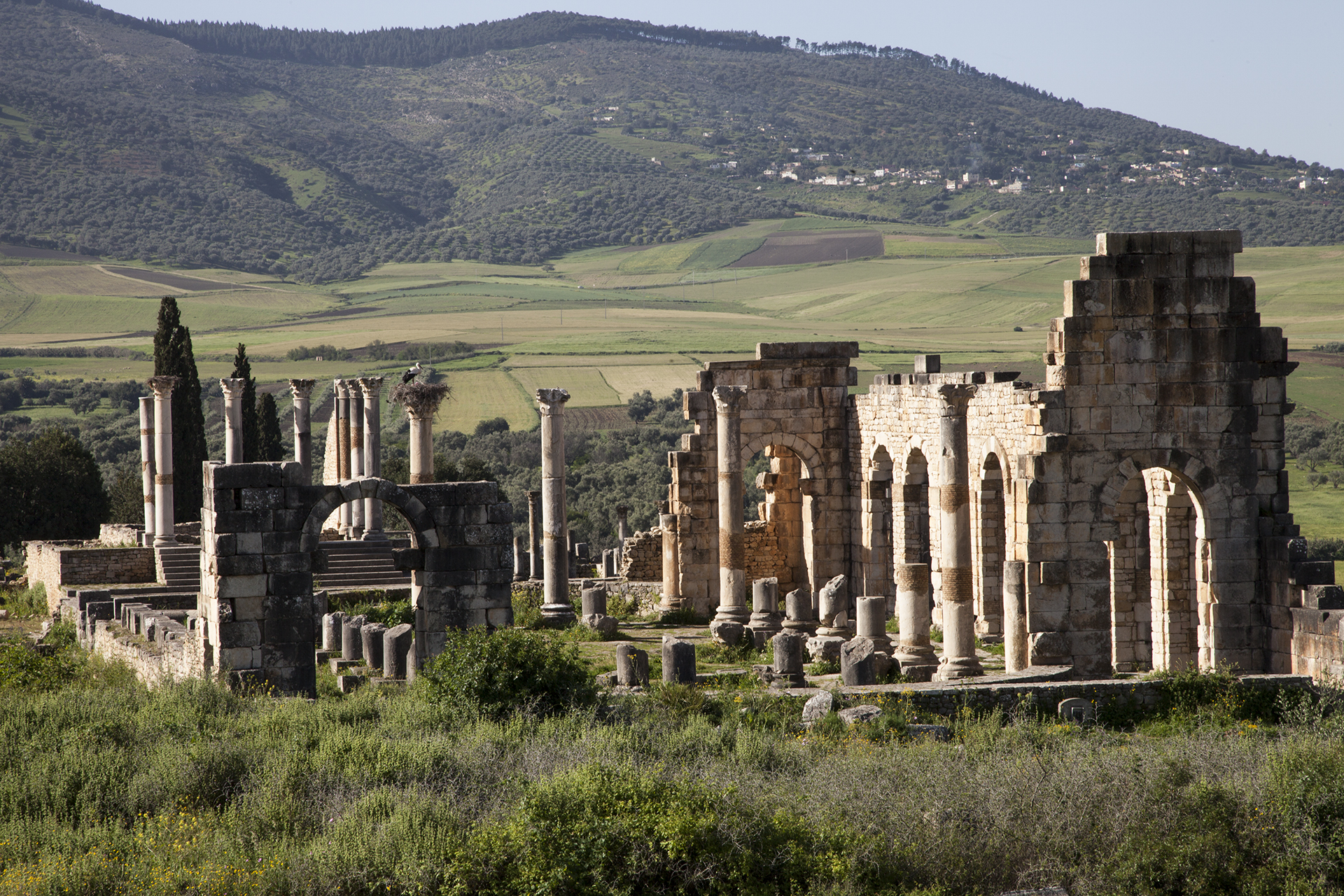 Chefchaouen – Volubilis – Meknès – Fès